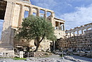 Die Akropolis